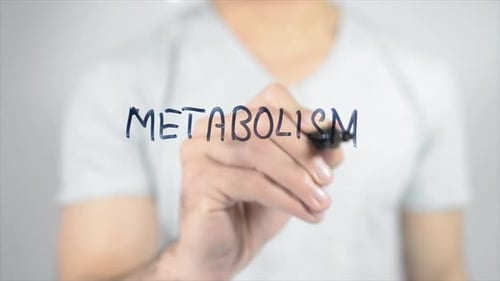 Metabolism, Writing on Screen