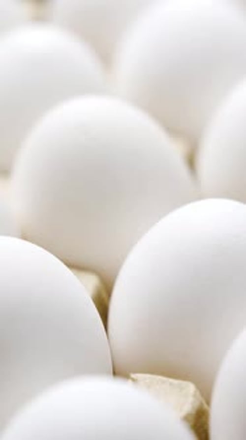 White chicken eggs in a cardboard box. Eggs in a paper tray. Vertical video