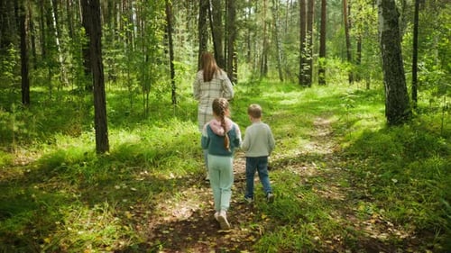 Children Walking Behind Tour Guide Along Forest Trail