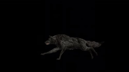 Black Wolf Run Loop