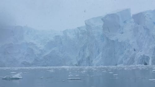 Massive Glacier and Floating Ice on Snowy Day, Coast of Antarctica Scenery