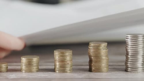 A Woman is Calculating Her Expenses for a Month