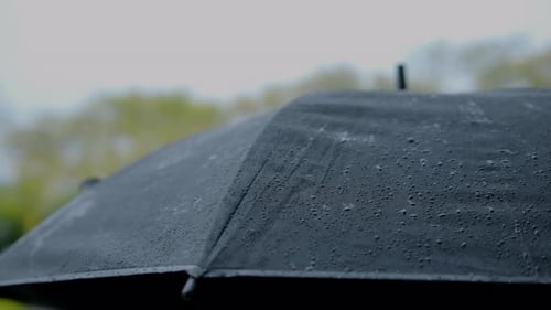 Drops of Rain Falling on Black Umbrellas During a Rainy Day