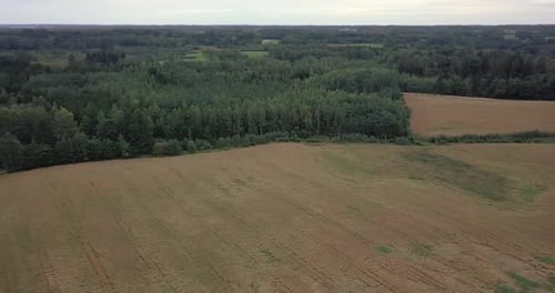 Aerial drone view on countryside meadows with forest in the background
