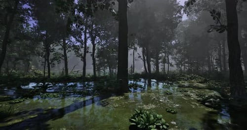 Misty Forest Landscape with Water Reflections and Lush Greenery Under Sunlight