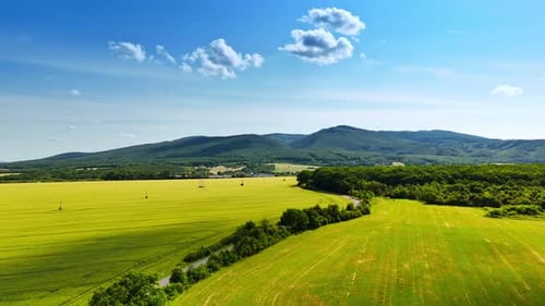 Vast green fields beneath a blue sky. Lush green fields stretch across the landscape