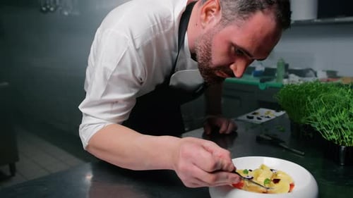 Chef Prepares Exquisite Food Plate in Restaurant Kitchen
