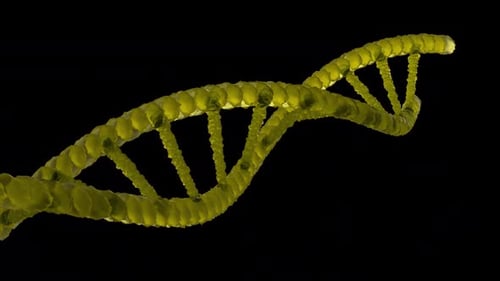 Yellow Dna 3d Medical Healty Science Alpha Loop