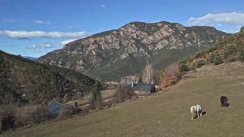 Aerial drone fly above grazing horses at countryside village in Spain mountain range background with