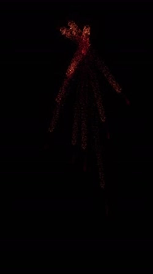 Aerial Sparks Explosion (40)