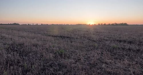 Flat Hill Meadow Timelapse at the Summer Sunrise Time Wild Nature and Rural Grass Field Sun Rays and