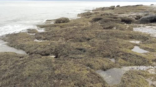 Aerial low angle pull back view above rocky seaweed coast rock pool seascape landscape