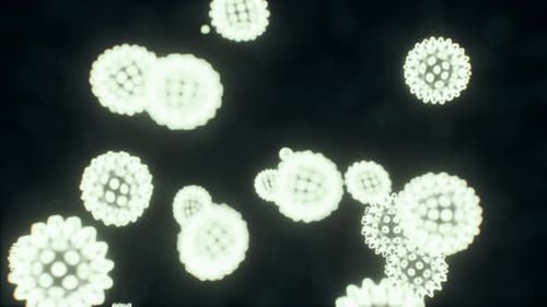 Viewing the Navirus Under a Digital Microscope
