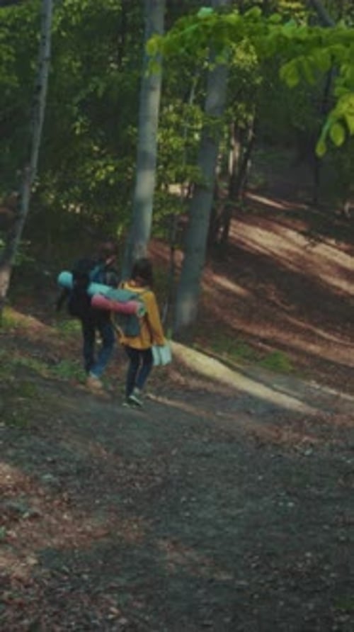 Hikers Walk Through Forest on a Summer Day