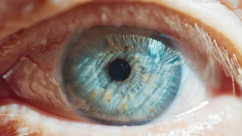 Extreme Close Up Footage of an Human Eye Macro Footage of an Eye of an Elderly Female