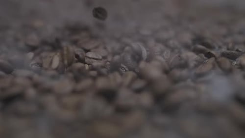 Coffee Beans Falling In Slow Motion Macro Shot