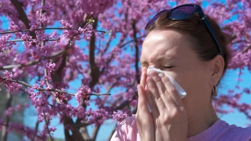 Lady Symptoms From Seasonal Allergy in Garden