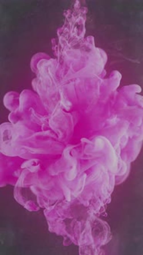 Pink Dye Swirling and Dispersing in Water