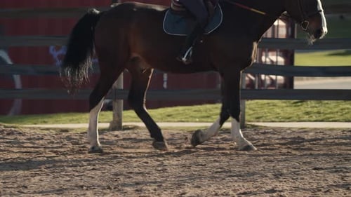 Riding School on a Horse Farm Girl on a Horse
