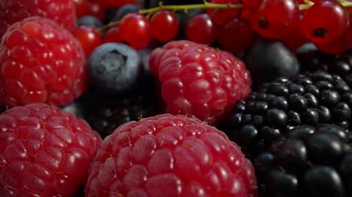 Macro Close Up of Assorted Summer Berries
