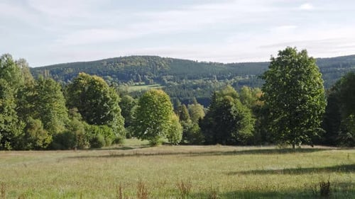Nature scenery, green meadow with trees. Czech landscape, Europe