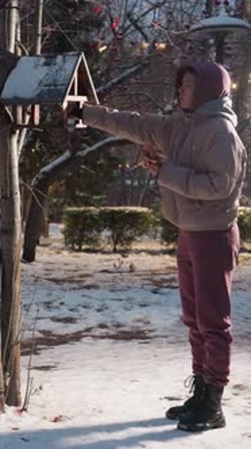 Lady Dropping Food Into Bird House in Snowy Park with Festive Lights in Background