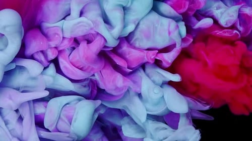 Colorful Ink Swirls Abstractly Against Black Background