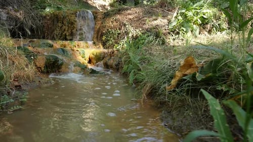 Im Wald fließendes Bachwasser