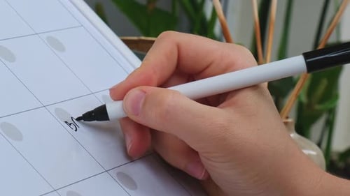Female Hand Writing Word BACK TO SCHOOL with Marker on Monthly PLANNER