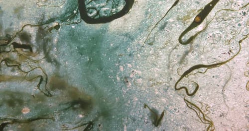 Abstrakte Textur von Farbscheidungen in Flüssigkeit