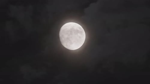 Bright Moon Shining in the Dark Night Sky