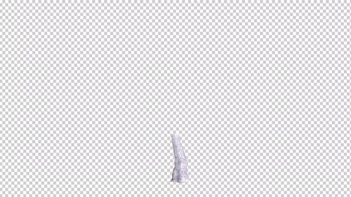 Realistic Tree Growth Animation