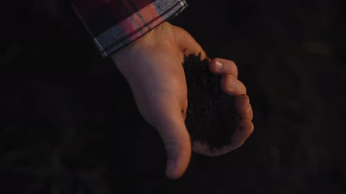 Farmer or Agronomist Touching Ground Taking Soil in Hand Closeup View in Field Modern Agricultural