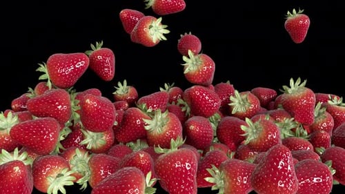 Strawberry Fall Transition