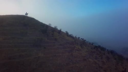 Aerial view of silhouetted rider and horses on hill