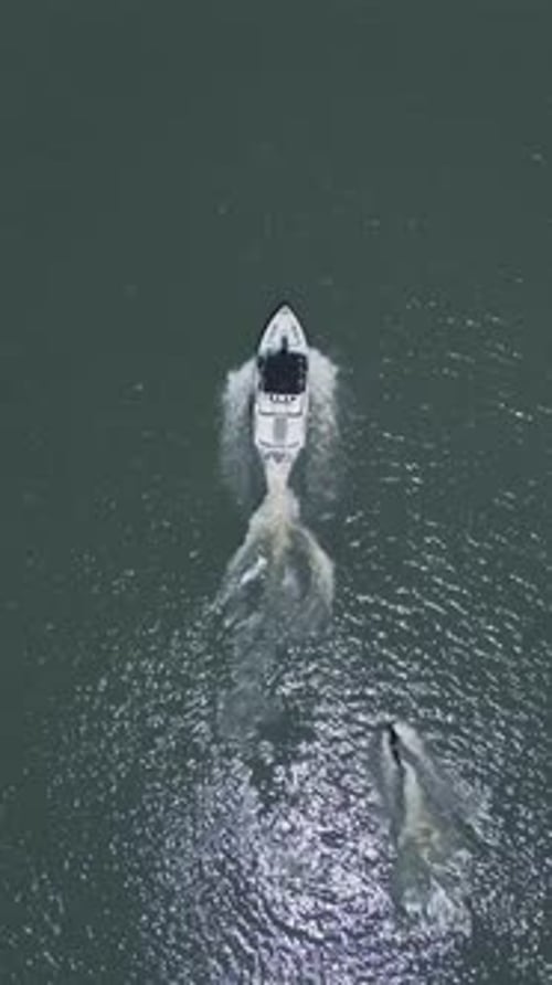08 10 2024 Queretaro Queretaro Wakeboarding sport practice on a lake or river