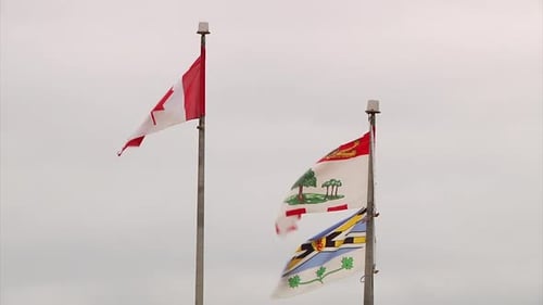 Two Flags Blowing in the Wind