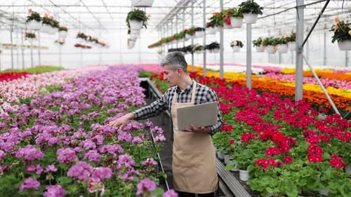 Adult Inspecting Flowers With Laptop in Greenhouse