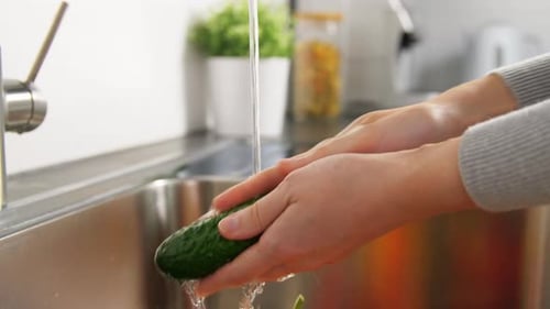 Washing fresh vegetables in stainless steel kitchen sink