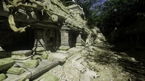 Un sentier étroit descend sous des racines arquées jusqu'à un sanctuaire secret