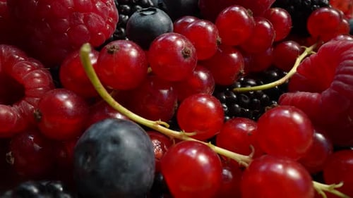 Variety of Fresh, Colorful Berries in Close Up