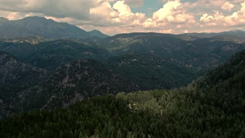 Aerial View Green Hills with Forest