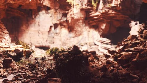 Large Fairy Rocky Cave with Green Plants