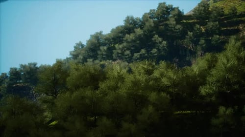 Scenic Countryside Landscape with Green Summer Mountain Valley and Forests