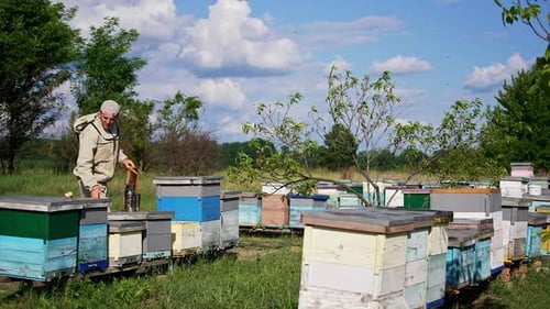Apicultor adulto do sexo masculino trabalhando em sua fazenda rural de abelhas orgânicas.