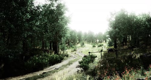 Serene Forest Path Winding Through Vibrant Greenery in Soft Morning Light