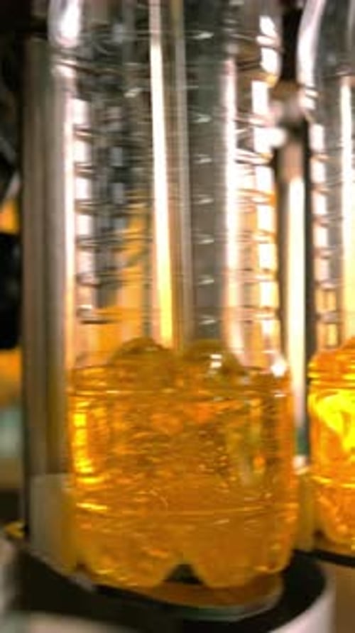 Bottles Filled with Golden Liquid on a Production Line in a Beverage Manufacturing Facility