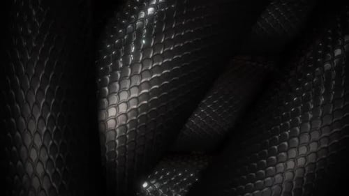 Close-up of shiny black snake skin