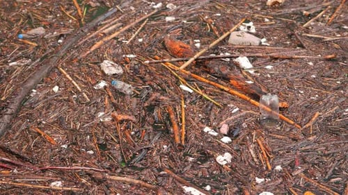 Äste schwimmen auf der Wasseroberfläche, gemischt mit Kunststoff und Schaum