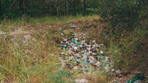 Lot of Garbage Thrown Out in Green Forest